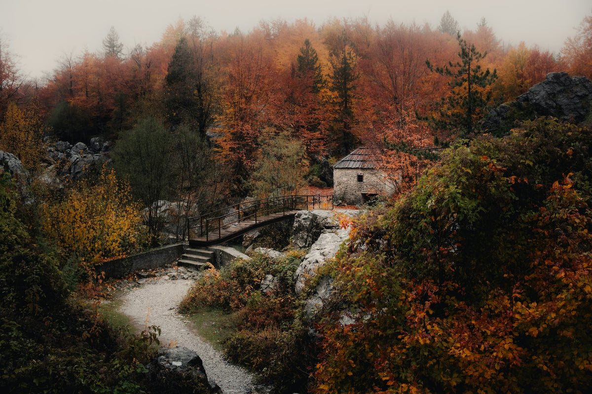 Stone cottage in a misty autumn forest with orange leaves (photo: Emmanuel Cassar, Unsplash)