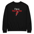I'm a Hoe Hoe Hoe funny Christmas sweater